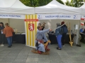 IMG_20240511_151843