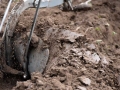 Pokaz orki konnej i wiosennych prac polowych (10)