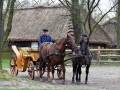 Pokaz orki konnej i wiosennych prac polowych (12)