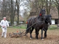 Pokaz orki konnej i wiosennych prac polowych (4)
