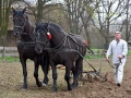 Pokaz orki konnej i wiosennych prac polowych (6)