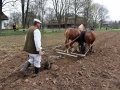 Pokaz orki konnej i wiosennych prac polowych (7)