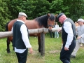 PM260607_R68987_v1