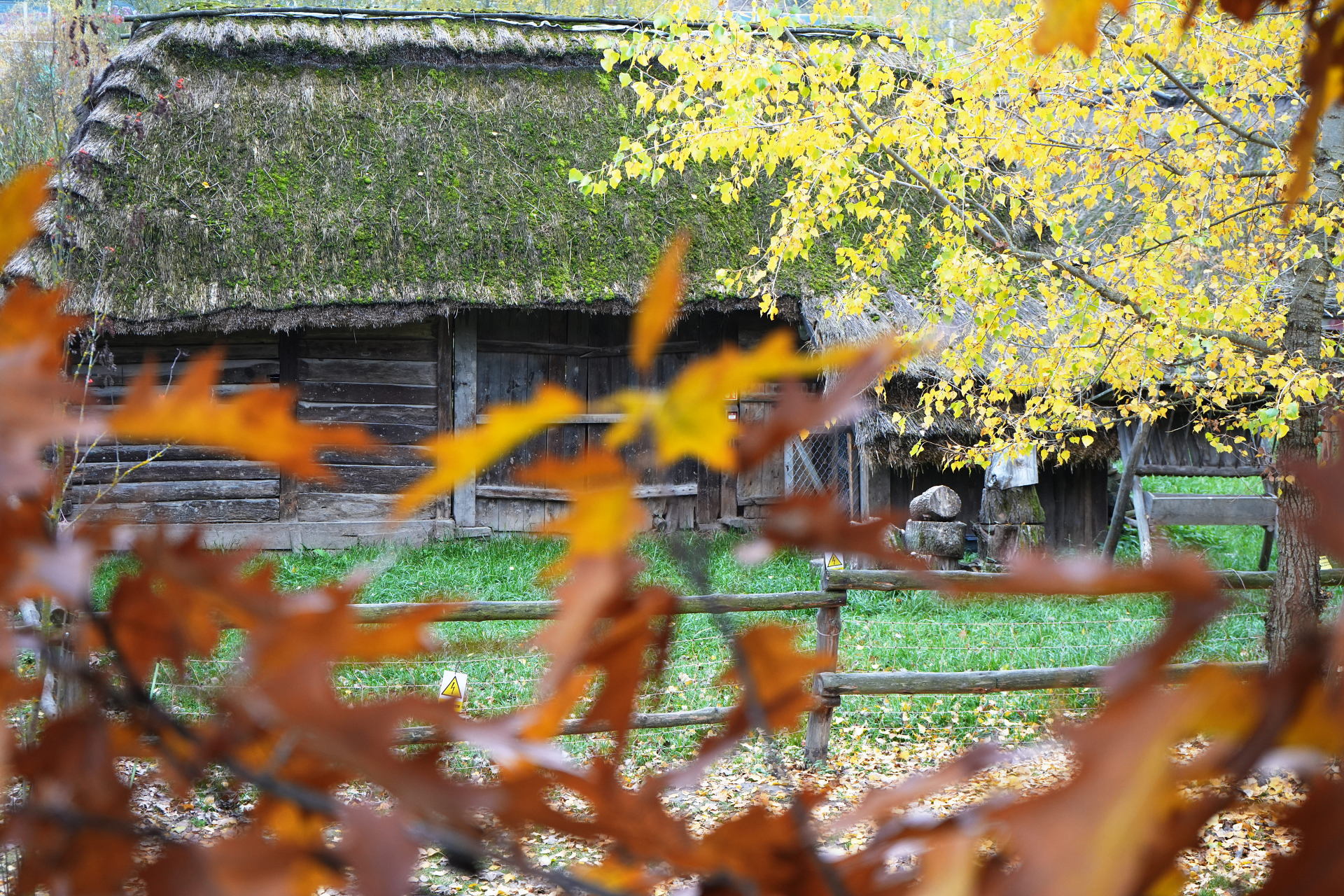 PM261028_703162_v1