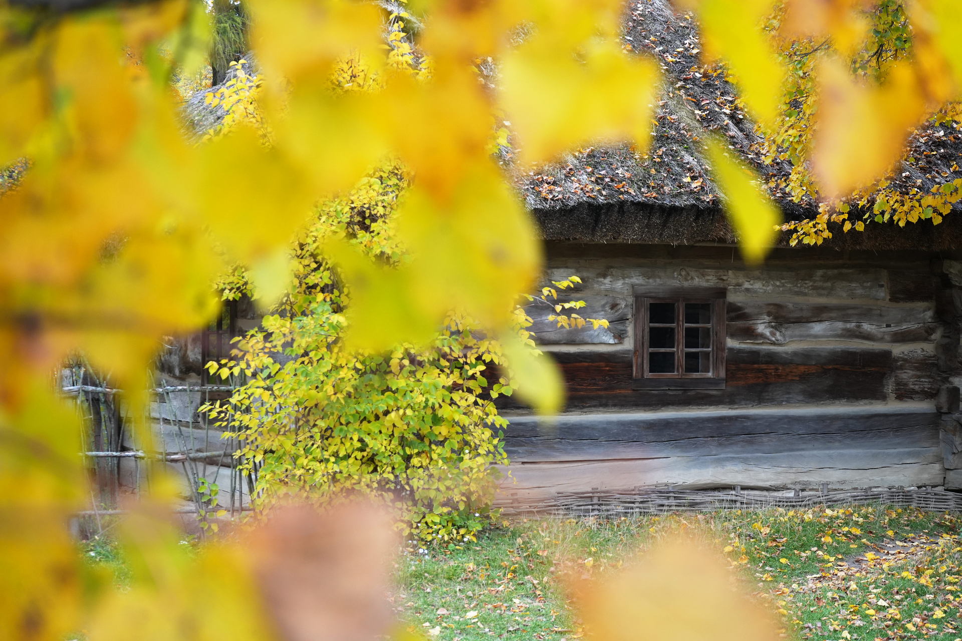 PM261028_703164_v1