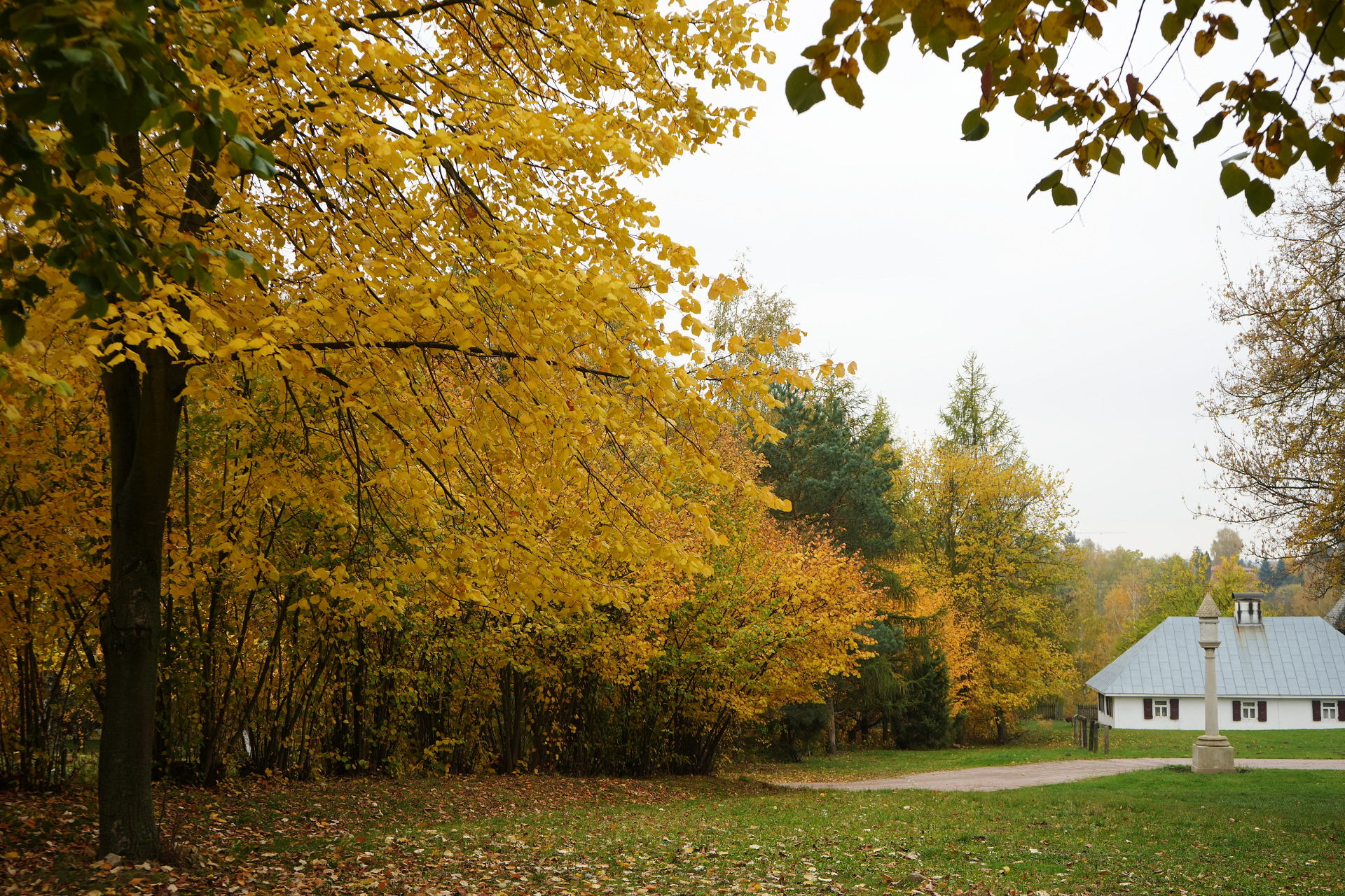 PM261028_703195_v1