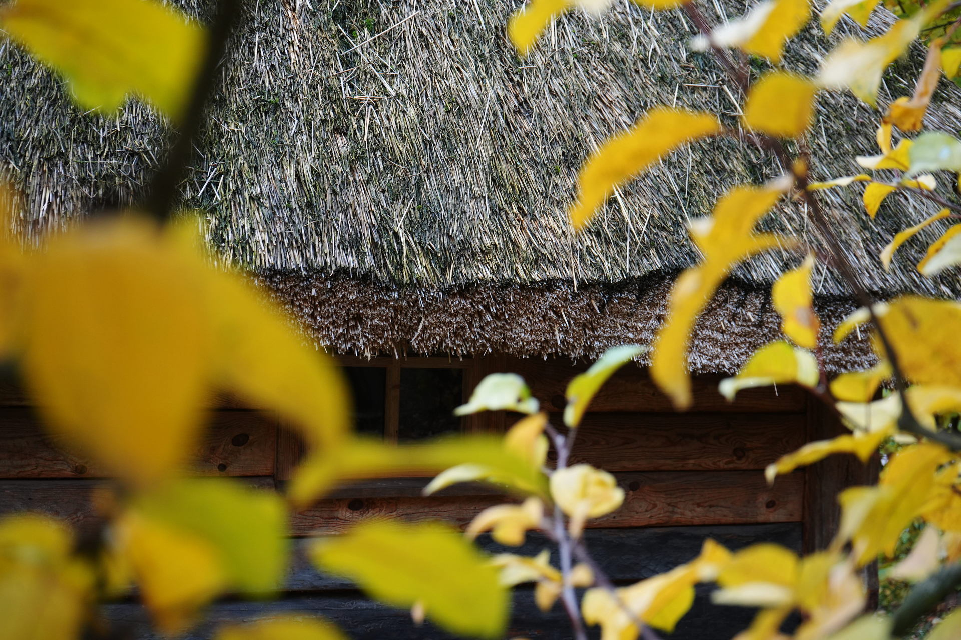 PM261028_703197_v1
