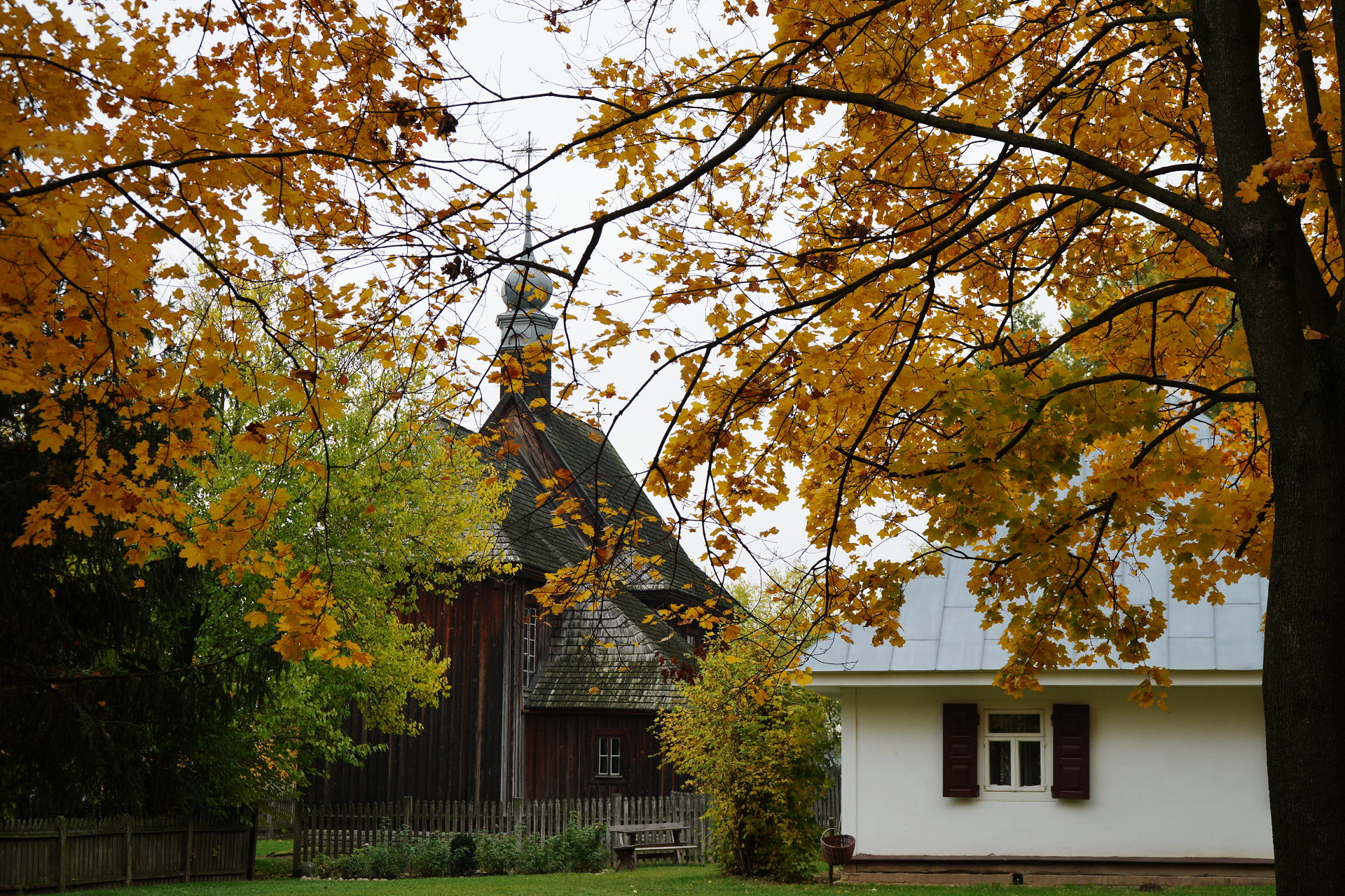 PM261028_703215_v1
