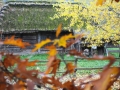 PM261028_703162_v1