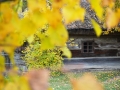 PM261028_703164_v1