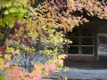 PM261028_703168_v1