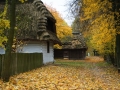 PM261028_703170_v1