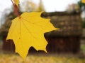 PM261028_703186_v1