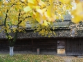 PM261028_703189_v1