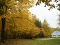 PM261028_703195_v1