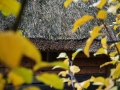 PM261028_703197_v1