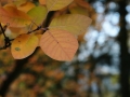 PM261028_703203_v1