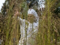 010_DSC0012_KW