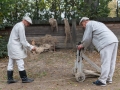 104_DSC0240_KW