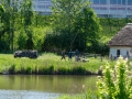 240512dsc_1088