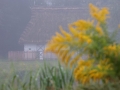 PMR69222_v1