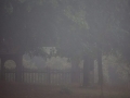 PMR69291_v1
