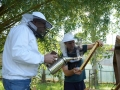 DSC03532_v1