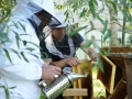 DSC03542_v1