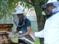 DSC03553_v1