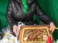230402dsc_0524