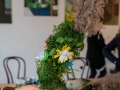 230402dsc_0600