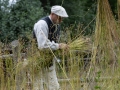 Len806.09.2026dsc_5740