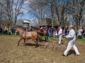 230417dsc_0695