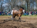 230417dsc_0734