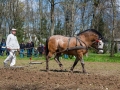 230417dsc_0763