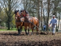 230417dsc_0768