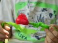 DSC02599_v1
