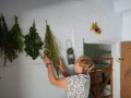 DSC02889_v2