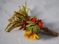 DSC02895_v2