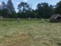 IMG_20230604_140029