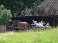 PM260613_R69344