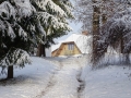 PM251124_07279_v1