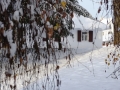 PM251124_07297_v1
