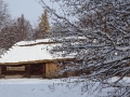 PM251124_07303_v1