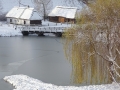 PM251124_07323_v1