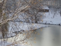 PM251124_07329_v1