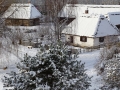 PM251124_07334_v1