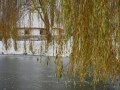 PM251124_704543_v1