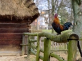 Pierwsze-zdjęcie