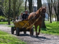 230421dsc_1261
